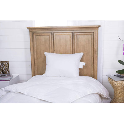 Wilmslow Feather Medium Pillow