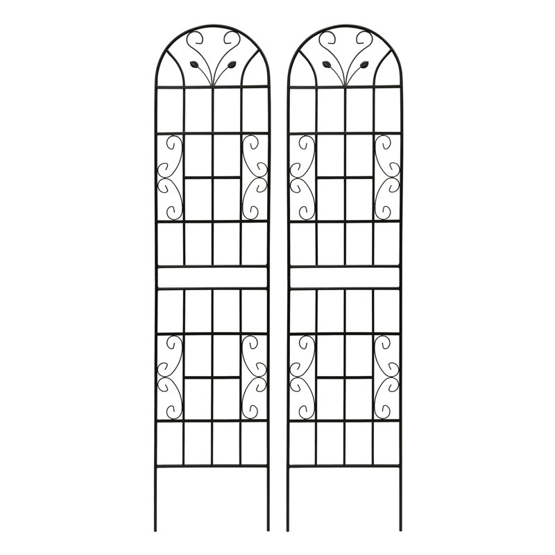 2 Pack Metal Garden Trellis