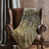 Brown Abstract 4