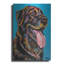 "Labs" par Carolee Vitaletti-1537910533