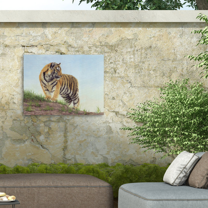 Toile d'extérieur David Stribble Young Tiger 10, H 24 po x l 32 po