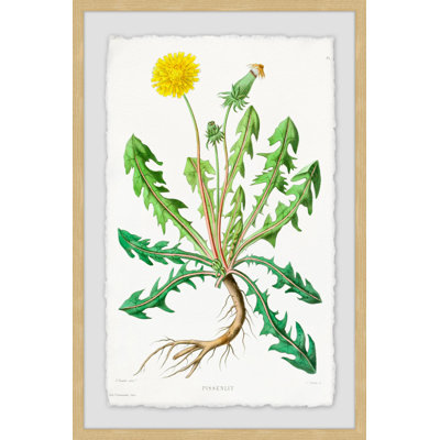 « yellow pissenlit », reproduction d’impression encadrée