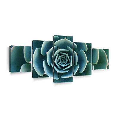 «Live Succulent», reproduction d'art sur toile
