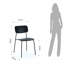 Tamora Dining Chair-54933115