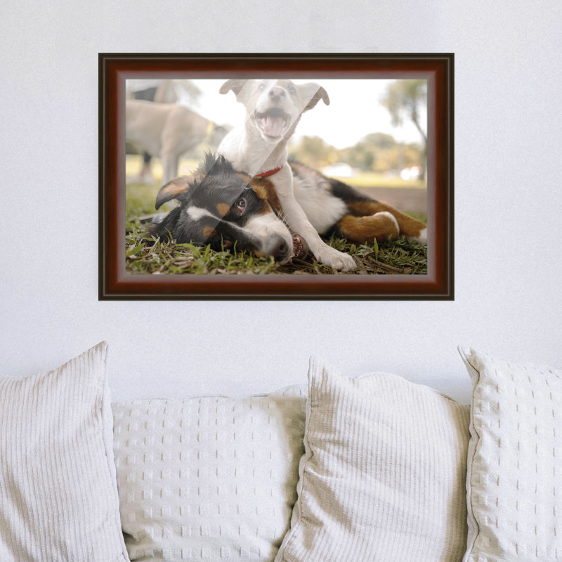Cadre photo en bois massif Adekemi, L 19 po x H 25 po