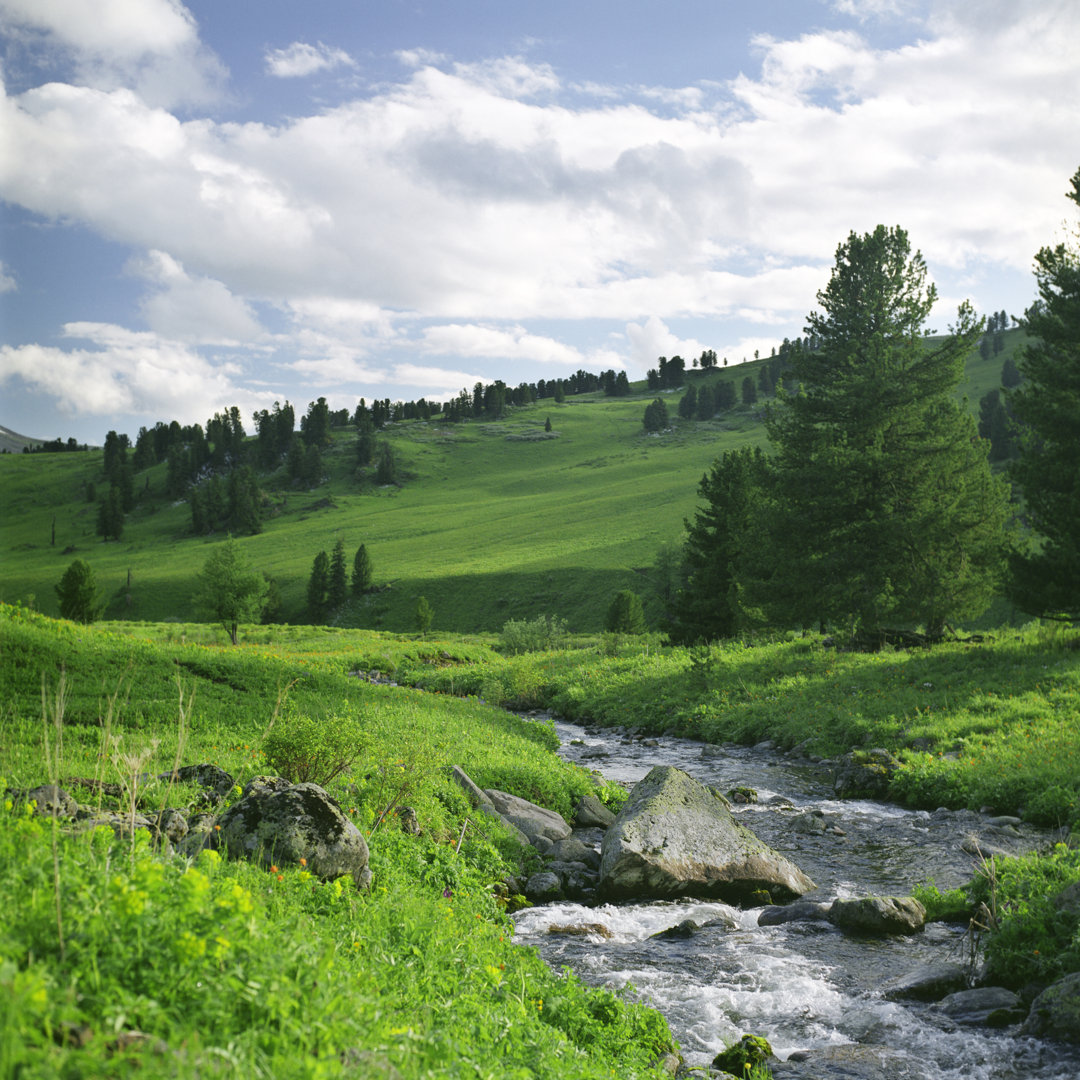 Fluss, Bäume und Berge von Ezhulkov - Kunstdrucke auf Leinwand