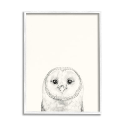 " Owl Portrait Gray " Print