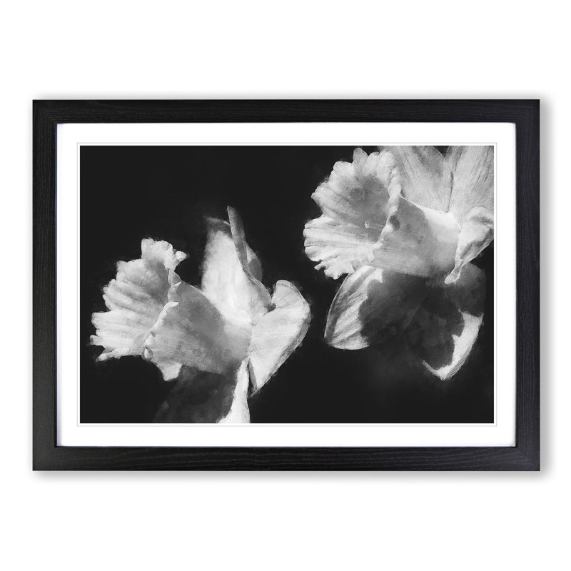 Pair Of Daffodils - Single Picture Frame Print on MDF, Black, 62cm H x 87cm W x 2cm D