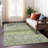 Machine Washable Indoor/Outdoor Chantille ACN1219 Rug-109530109