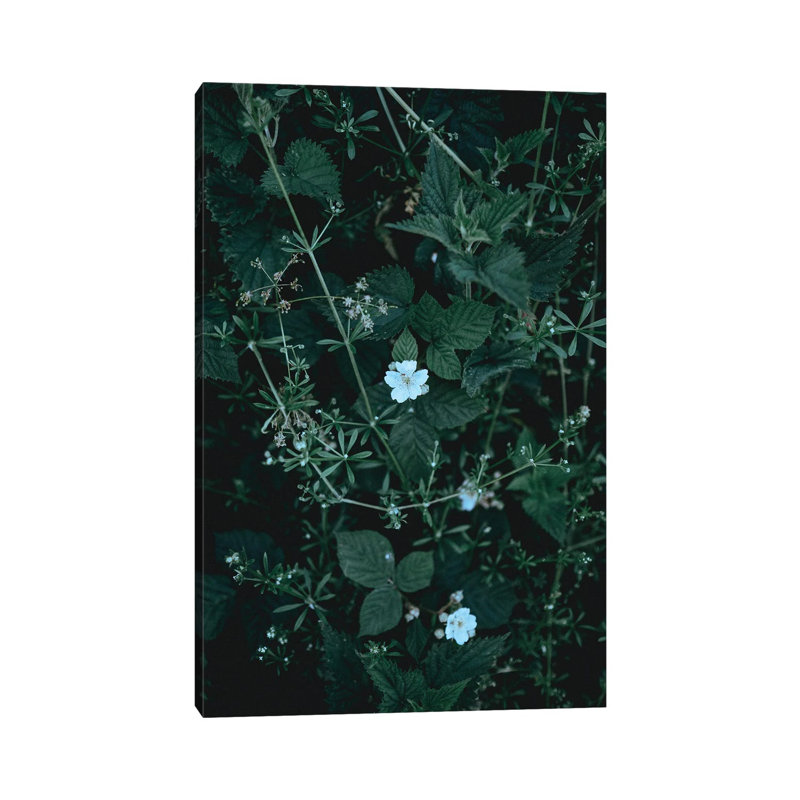 Greenery - Print on Canvas, Wrapped Canvas, 20.32 cm H x 30.48 cm W