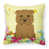 Terrier irlandais Glen of Imaal beige foncé sélectionné