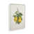 Opaque White Floater Frame n'est pas disponible