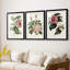 Mélange de fleurs roses I - impression encadrée sur mesure de qualité supérieure mate - 3 pièces-44061800-44061782