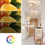 Clover Shaped Gold Dimming LED Ceiling Light With Remote