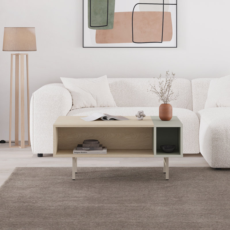Coffee Table with Storage