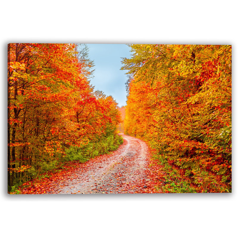 «Serene Autumn Forest Path», art mural sur toile tendue, H 12 po x l 16 po x P 1 po