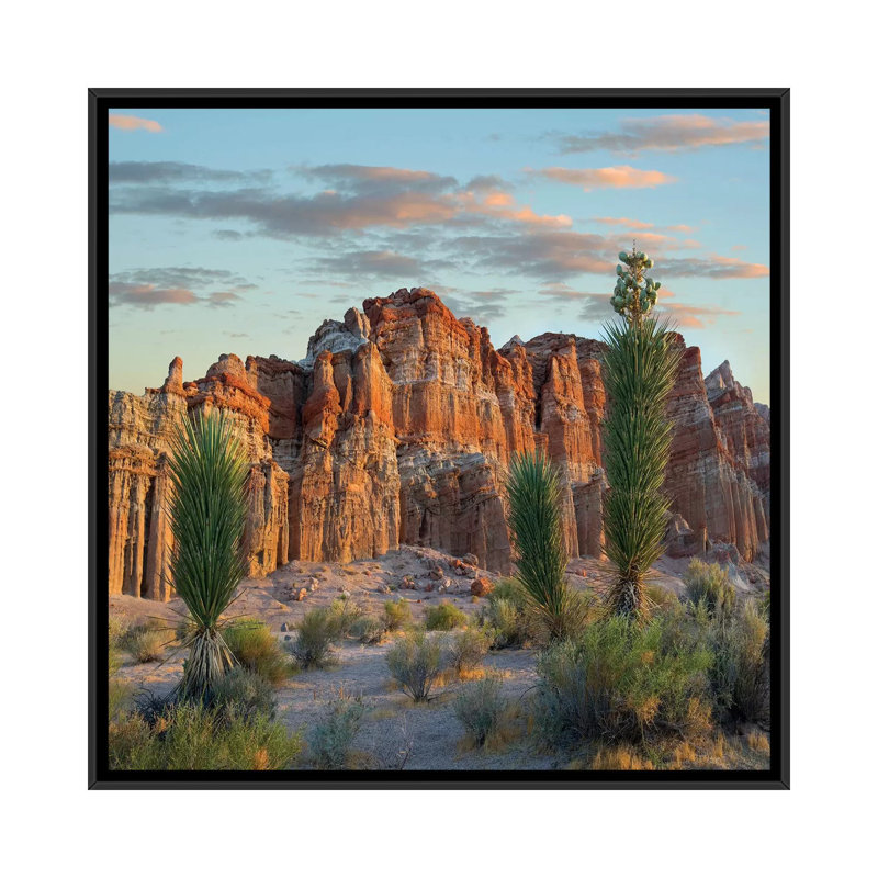 Reproduction de photo sur toile, H 18 po x l 18 po x P 1,5 po, Toile encadrée noire
