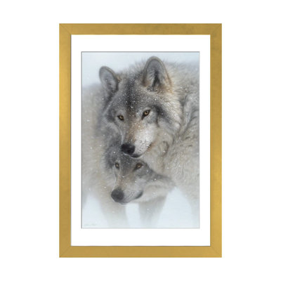 Wild Devotion - Gray Wolves