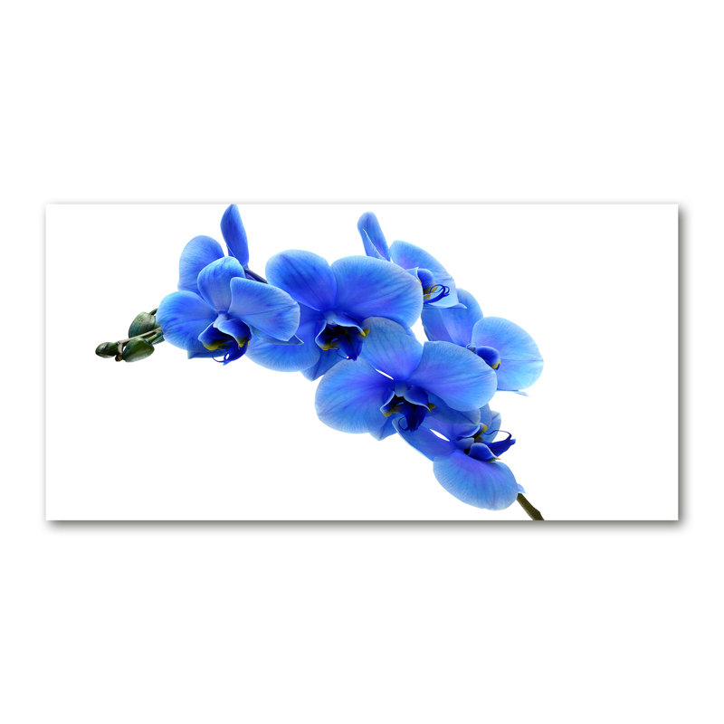 Blue Orchid - Wrapped Canvas Print