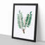 Indian Frankincense Flowers Illustration - Framed Print-55575979-55575980