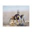 No Frame Print on Canvas-100039120