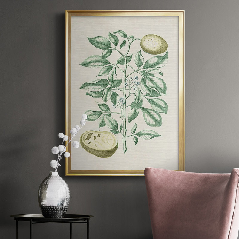 Buchoz Tropicals III, reproduction d'art encadrée, H 36,5 po x l 26,5 po x P 1 po, Or