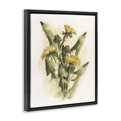 Cottage Buttercup Flowers Framed Floater Canvas Wall Art by Ethan Harper