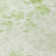 Alta Washable Floral Indoor / Outdoor Rug