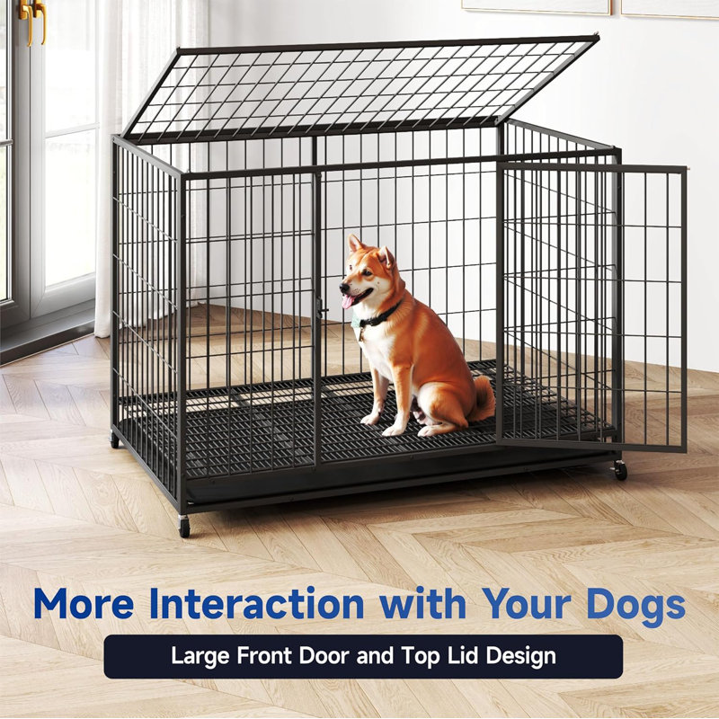 Dog Shelter Dog Enclosures Walmart Heavy Duty Walmart Dog Kennel