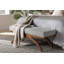 Banc Anup Railee-456160826