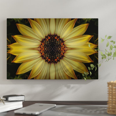 «Cape Daisy Sun Star» par Alyson Fennell, reproduction sur toile