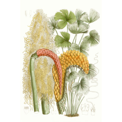Palm Melange IV 1 Piece Wrapped Canvas Wall Art