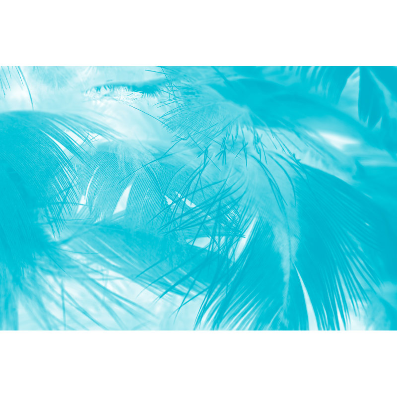 Feather Texture Background - Wrapped Canvas Print, 61cm H x 91cm W x 3.8cm D