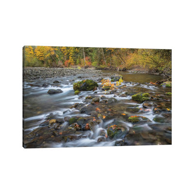 " USA, Washington State, Olympic National Forest. Fall Forest Colors And Hamma Hamma River " by Jaynes Gallery