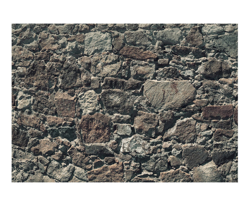 Dzion Textured Matte Peel & Stick Mural, 294 cm x 210 cm
