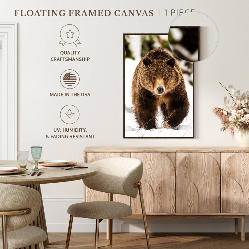 Ours grizzly qui marche, 29" x 43", Cadre flottant noyer