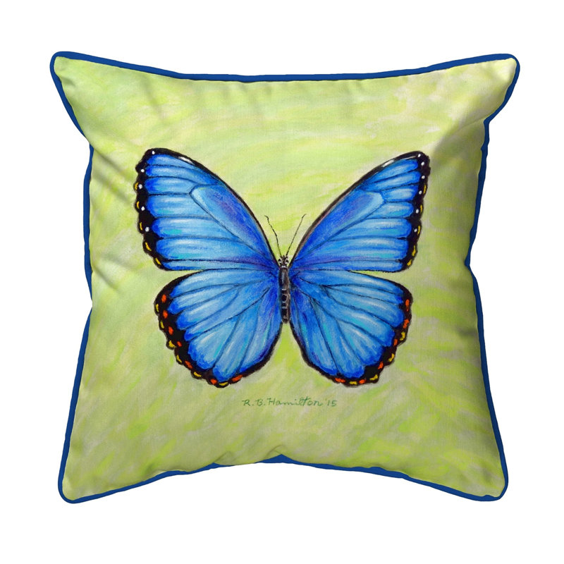 Morpho Morpho Outdoor Square Pillow Cover and Insert, Small