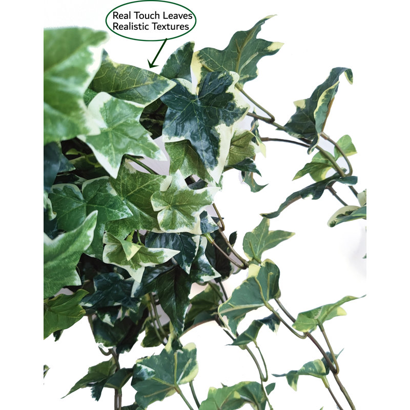 Faux Ivy Plant, 35" H x 22" W x 4" D