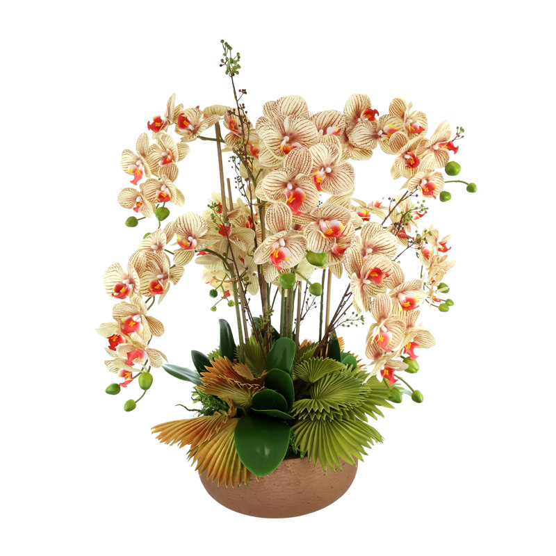 Orchids Arranged in Fiberstone Planter, Orange/Green