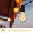 Davidoff Outdoor 25 - Bulb 50'' Solar Powered String Light
