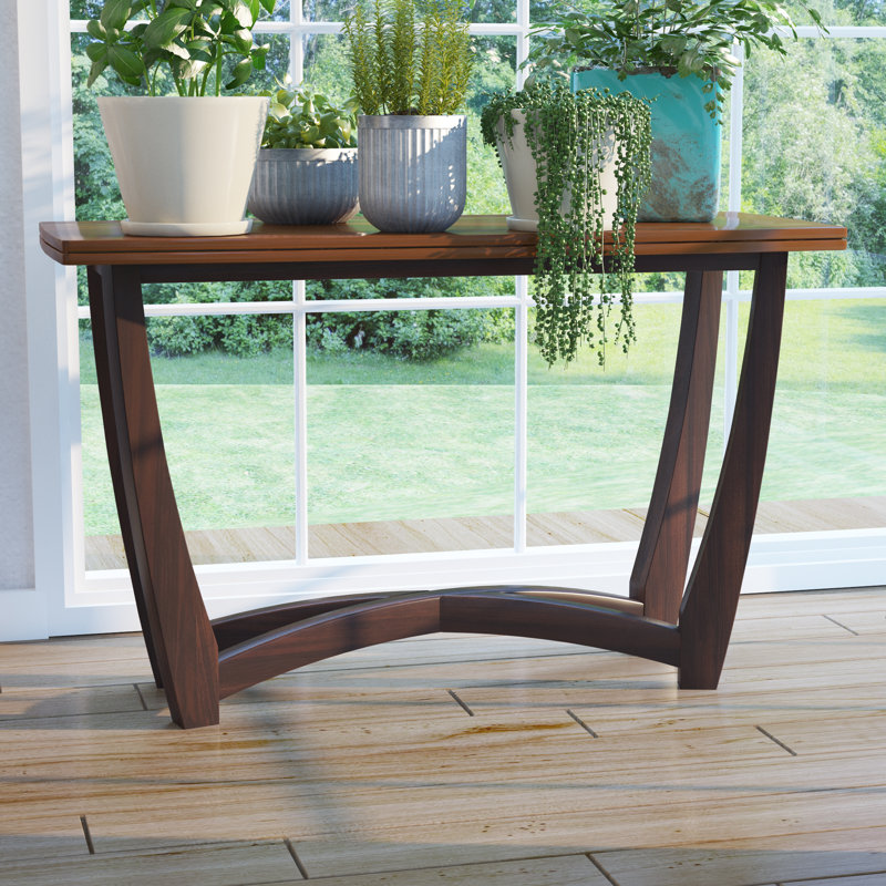 Wakita 48'' Console Table