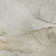 Tapis beige lavable à la machine de qualité supérieure 10 pi x 14 pi Cerrito AMF512