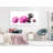 Calm Mallow Narrow Pink - Wrapped Canvas Print-1802627756