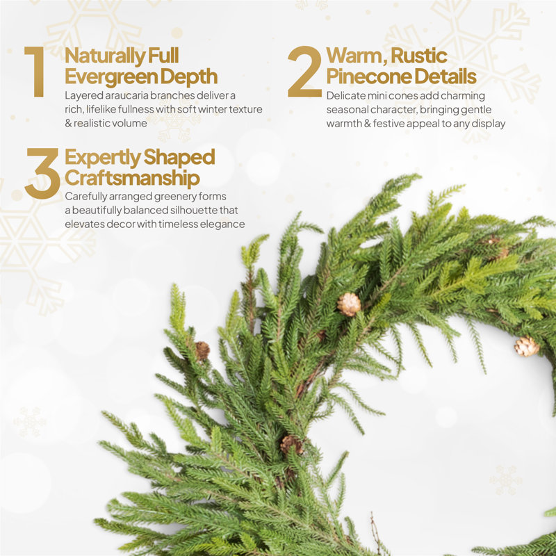 Polyethylene Wreath, 70 (cm) x 70 (cm)
