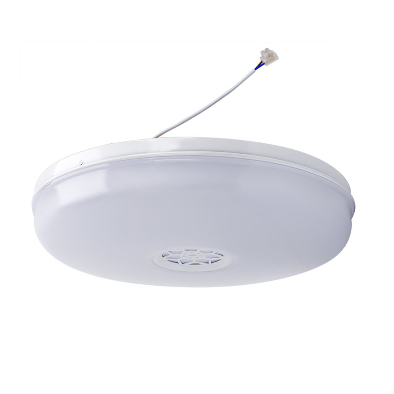 Wi-Fi Ceiling Lights 24W, RGB+W+WW, Dimmable with Bluetooth Speaker