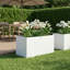 Planter-1754842452-1754842455-1754842456