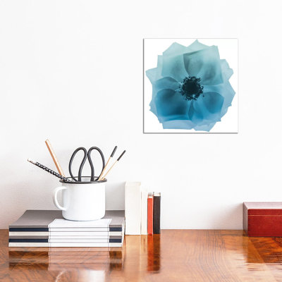 Rose Petal Blues II by Albert Koetsier - Wrapped Canvas Print