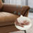 Orange Genuine Leather Modular Sofa cushion couch