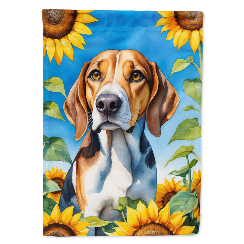 Lévrier irlandais dans le drapeau du jardin de tournesols, Foxhound américain