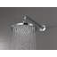 Essential™ Round Raincan Showerhead-51914087-52209031